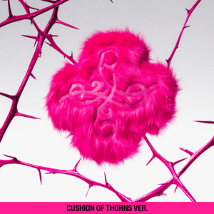 TOMORROW_X_TOGETHER 7TH YEAR: A Moment of Stillness in the Thorns (CUSHION OF THORNS Ver.)